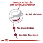 7896181216940---foto-4