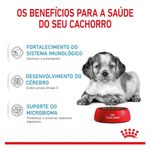 7896181211921---foto-3