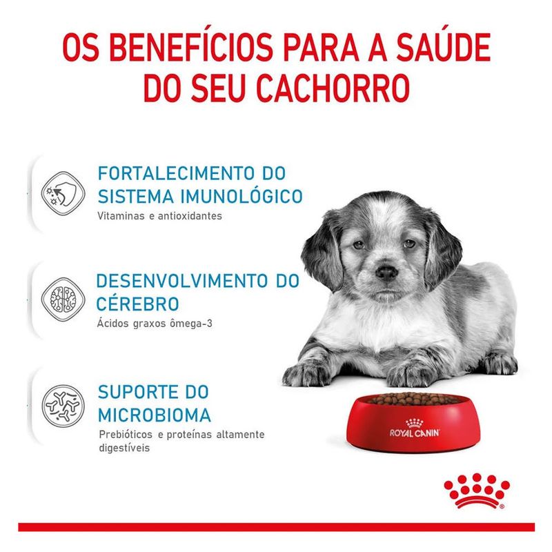 7896181211921---foto-3