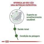 7896181216056---foto-3