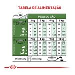 7896181216056---foto-5