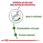 7896181216636---foto-3
