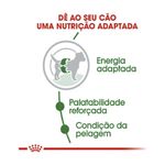 7896181212089---foto-3