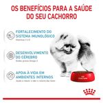 7896181212126---foto-3
