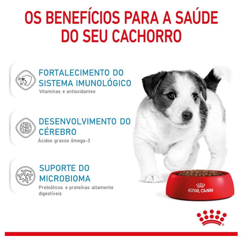 7896181212522---foto-4
