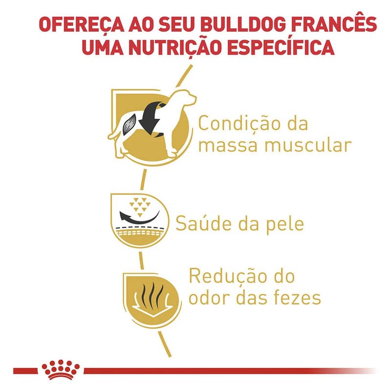7896181219118---foto-2