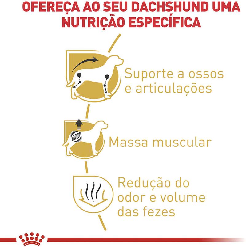 Racao_Royal_Canin_para_Caes_Adultos_da_Raca_Dachshund_31010802_1
