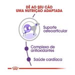 7896181212881---foto-3