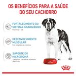7896181212027---foto-4