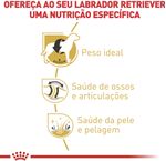 Racao_Royal_Canin_para_Caes_Adultos_da_Raca_Labrador_Retriever_-_12_Kg_3105541_2