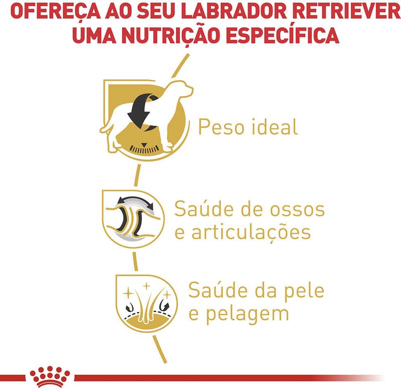 Racao_Royal_Canin_para_Caes_Adultos_da_Raca_Labrador_Retriever_-_12_Kg_3105541_2