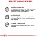 Racao_Umida_Royal_Canin_Veterinary_Diet_Gastrointestinal_para_Caes_Adultos_com_Sensibilidades_Gastrointestinais_-_400_g_3105638-3_-2-