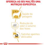 Racao_Royal_Canin_para_Caes_Adultos_da_Raca_Maltes_1191916_1