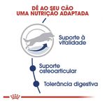 7896181216926---foto-3