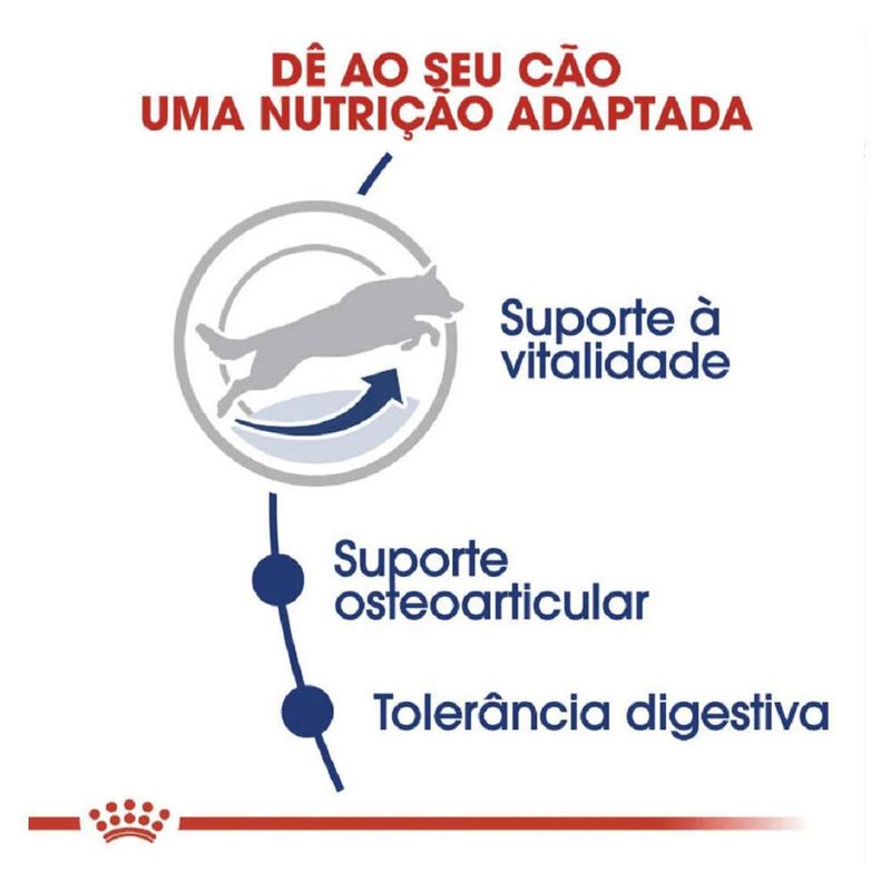 7896181216926---foto-3