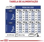 Racao_Seca_Royal_Canin_Maxi_Adult_5__para_Caes_Adultos_de_Porte_Grande_com_5_Anos_ou_mais_-_15_Kg_3104150-1_-5-