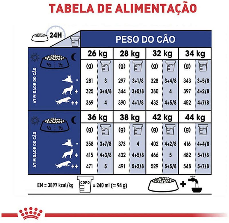 Racao_Seca_Royal_Canin_Maxi_Adult_5__para_Caes_Adultos_de_Porte_Grande_com_5_Anos_ou_mais_-_15_Kg_3104150-1_-5-