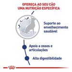 7896181216933---foto-5