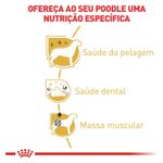 7896181219149---foto-2