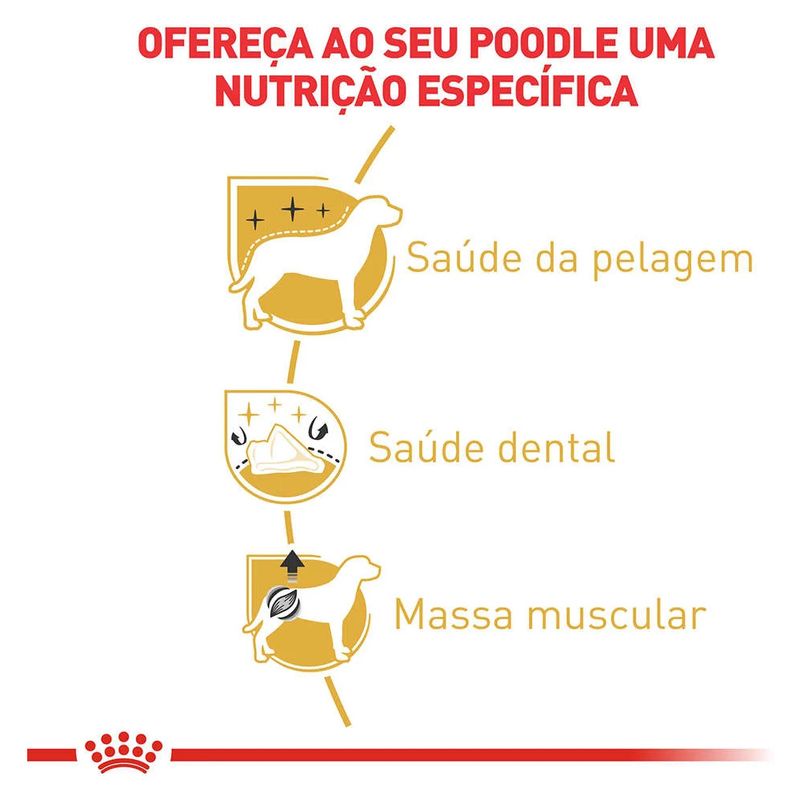 7896181219149---foto-2