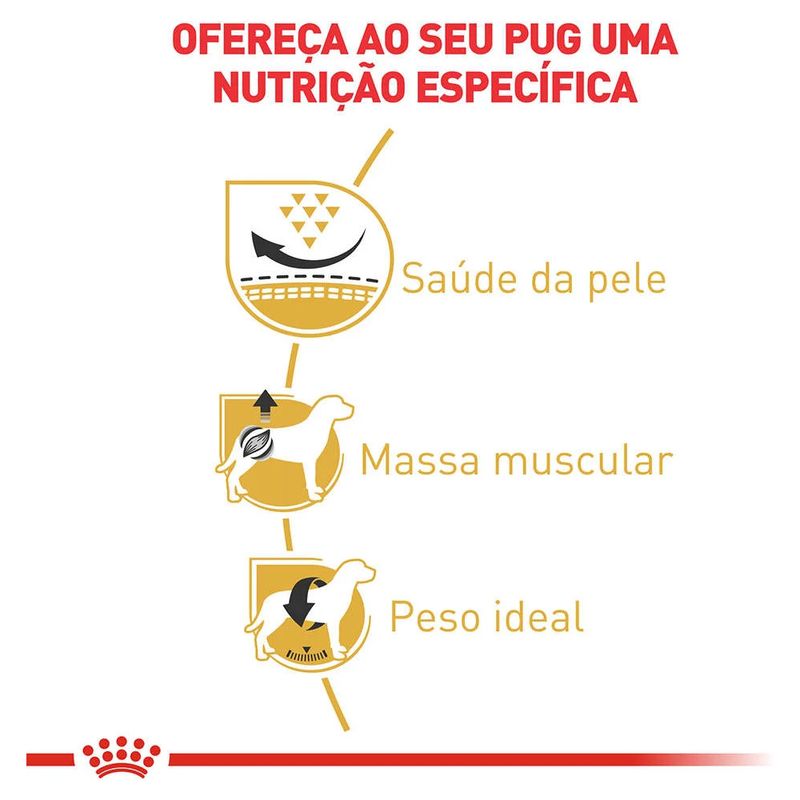 7896181214885---foto-2