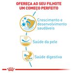7908248300308---foto-3