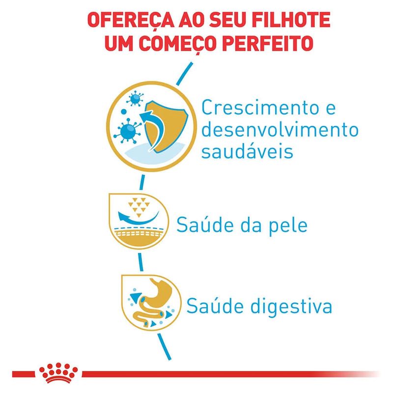 7908248300308---foto-3