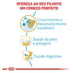 7908248300322---foto-2