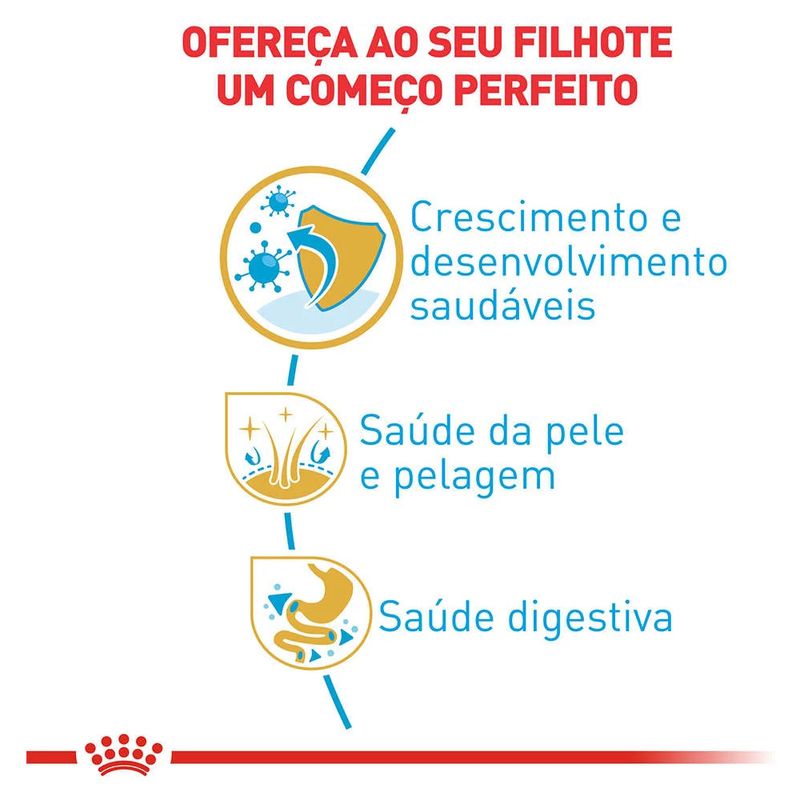 7908248300322---foto-2