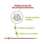 7896181215622---foto-1