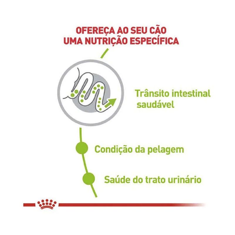 7896181215622---foto-1
