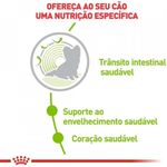 7896181215653---foto-2