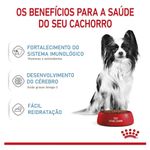 7896181215684---foto-3