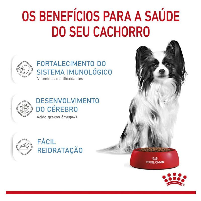 7896181215684---foto-3