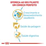 7908248300346---foto-2