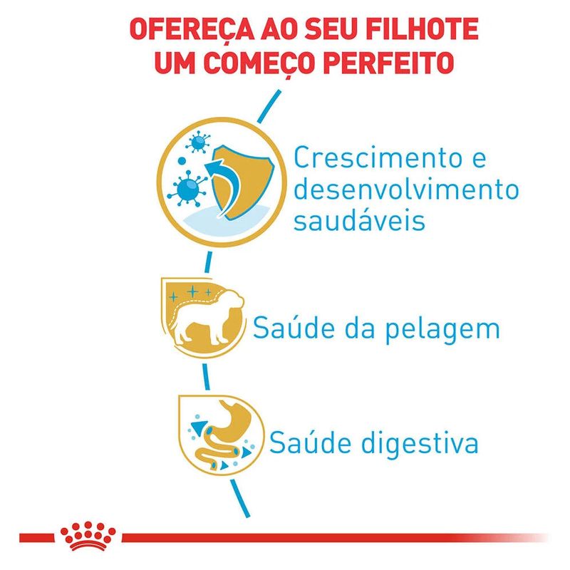 7908248300346---foto-2