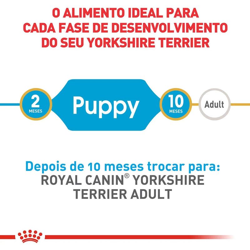 7908248300346---foto-3