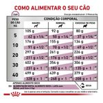 7896181213536---foto-4