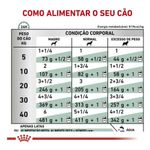 7896181213932---foto-5