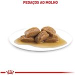Racao_Umida_Royal_Canin_Sache_Maxi_Adult_para_Caes_Adultos_de_Porte_Grande_-_140_g_2414391_-3-