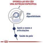 Racao_Umida_Royal_Canin_Sache_Maxi_Adult_para_Caes_Adultos_de_Porte_Grande_-_140_g_2414391_-2-