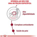 7908248300025---foto-2