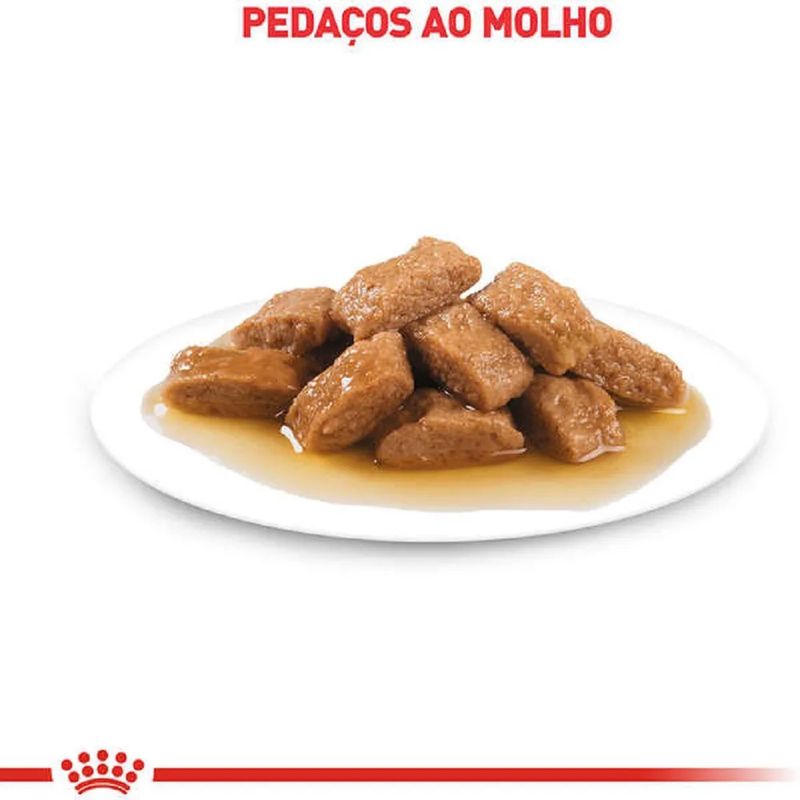 7908248300025---foto-3