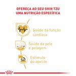 7908248300551---foto-2