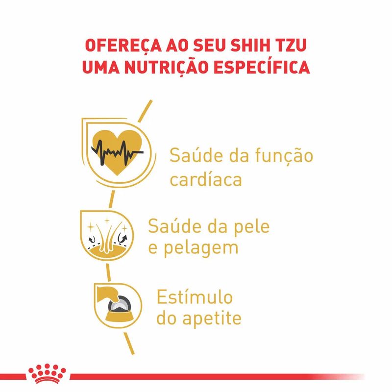 7908248300551---foto-2