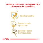 7908248300544---foto-2