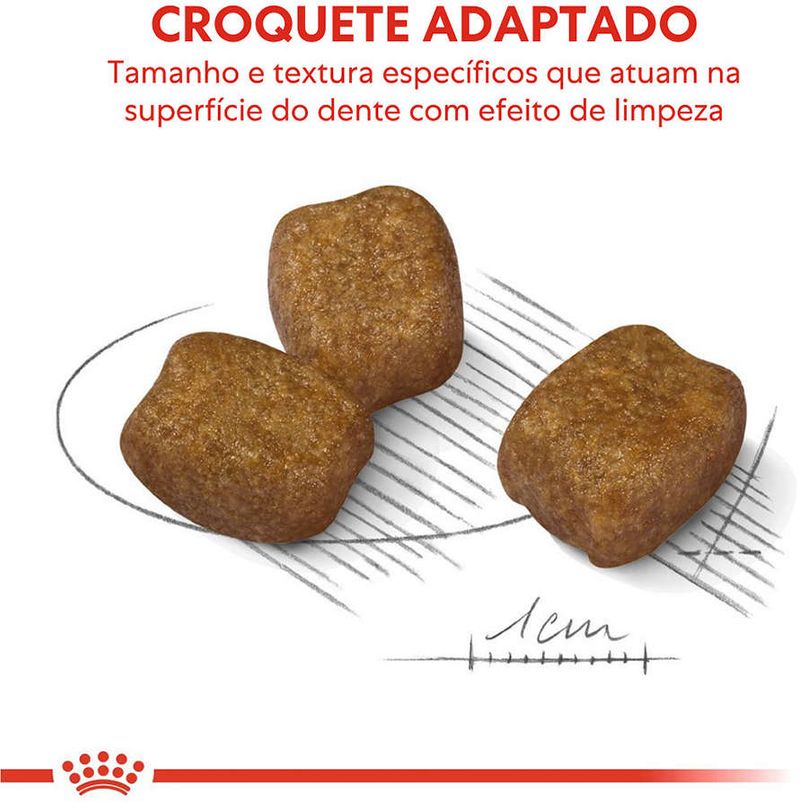 Racao_Royal_Canin_Cuidado_Dental_para_Caes_Adultos_de_Racas_Mini_2659758_0002_7908248301329_-3-