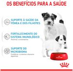 Racao_Seca_Royal_Canin_Starter_Mini_Mother___Babydog_para_Caes_Filhotes_3