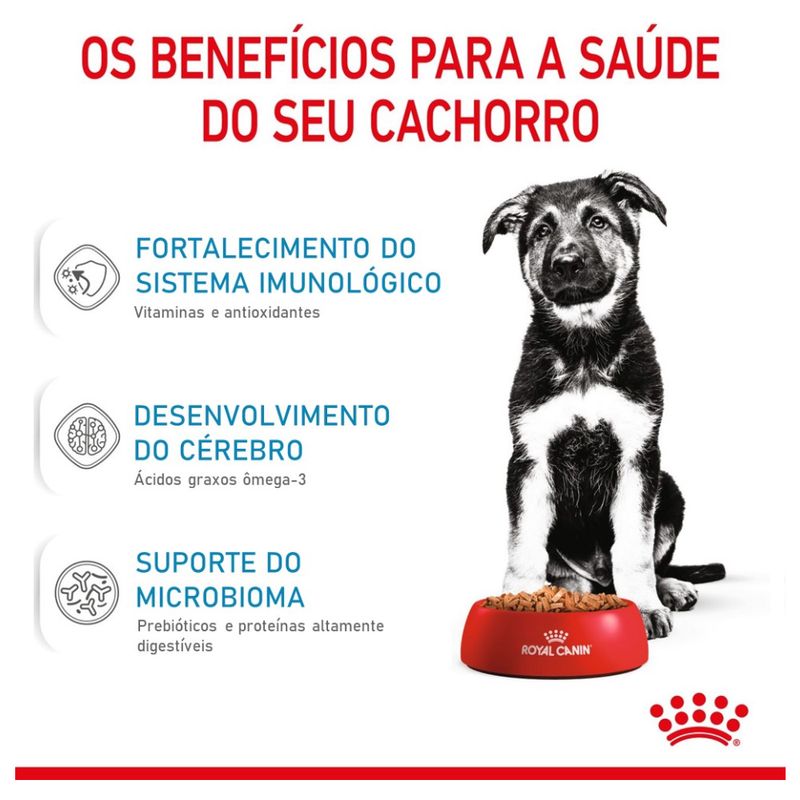 7908248301268---foto-3