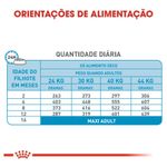 7908248301268---foto-6